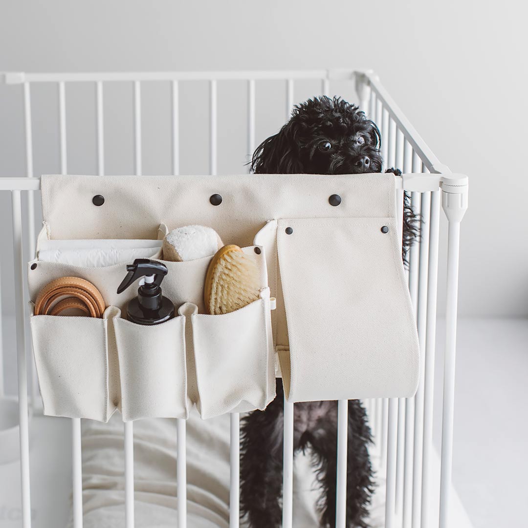 楽天市場】犬 トイレトレイ ワイド pecolo Toilet Tray M Wide