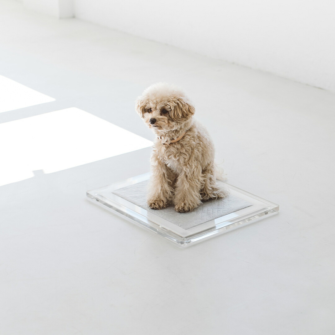 トイレ 犬 S おしゃれ アクリル インテリア シンプル シーツオリジナル スペース トイレトレイ トレイ ブラック ホワイト マナー 日本製 洗える 売れ筋ランキングも掲載中 おしゃれ