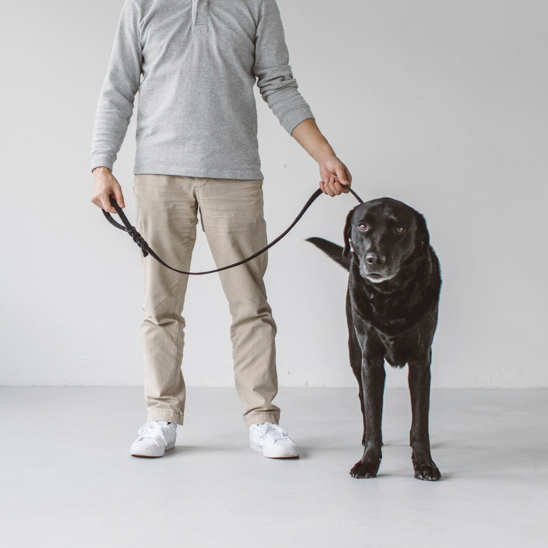 【犬 先んじる】油絵の具なめし革 ブレイド 先んじる LL 大きさ犬 先んじる 革 今めかしい 中型犬 大型犬 犬用 革製 秘密捜査員 皮 なめし革 チワワ