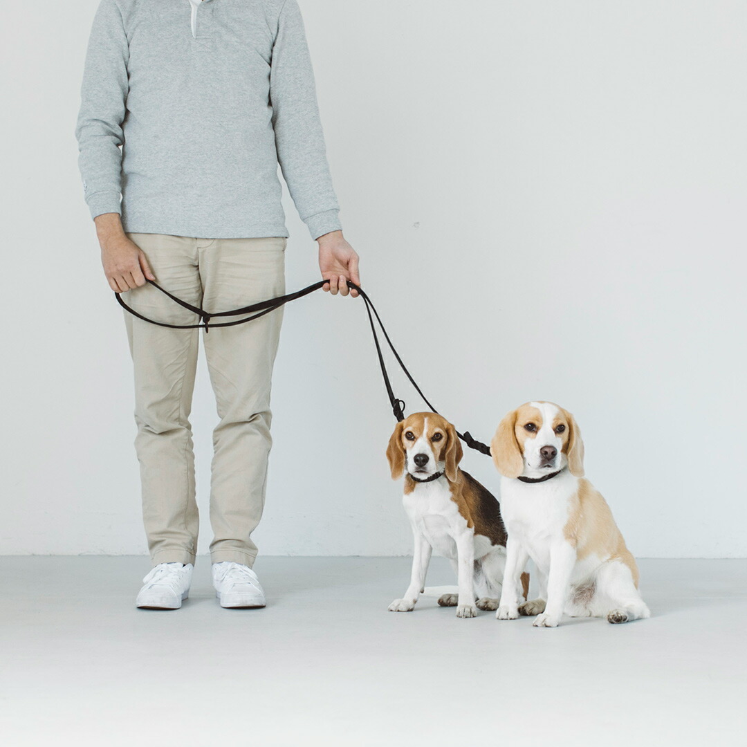 Sale 97 Off オイルレザー ブレイド マルチパーパスリード L サイズ犬 リード 革 多機能 肩掛け ショルダー ハンズフリー 肩掛けリード 肩がけ おしゃれ 中型犬 大型犬 犬用 革製 いぬ 皮 レザー ペット お散歩 おでかけ Fucoa Cl