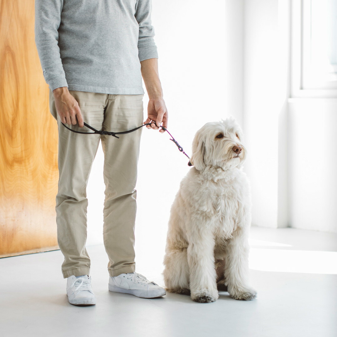 楽天市場】【犬 リード】オイルレザー ブレイド ドッグハンドル L