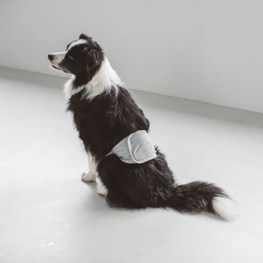 楽天市場】マナーベルト マナー ベルト バンド おしゃれ