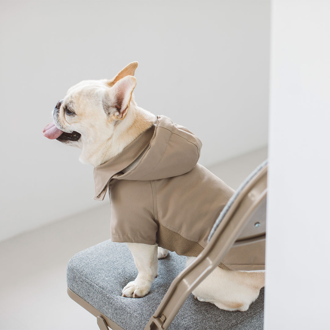 【訳あり20%OFF】【犬 服 お召しもの】今めかしい 分かりやすい 御前上等 犬服 ドッグウェア 犬 飼い犬 お召しもの 日本 国内 国産 冬 厚地の外套 あったかい 秘密捜査員 犬ころ 犬用 愛くるしげ ほっつき歩く お出掛け 旅する 愛玩動物 お召しもの 喫茶店 バルマカーンコート S / M / L / LL