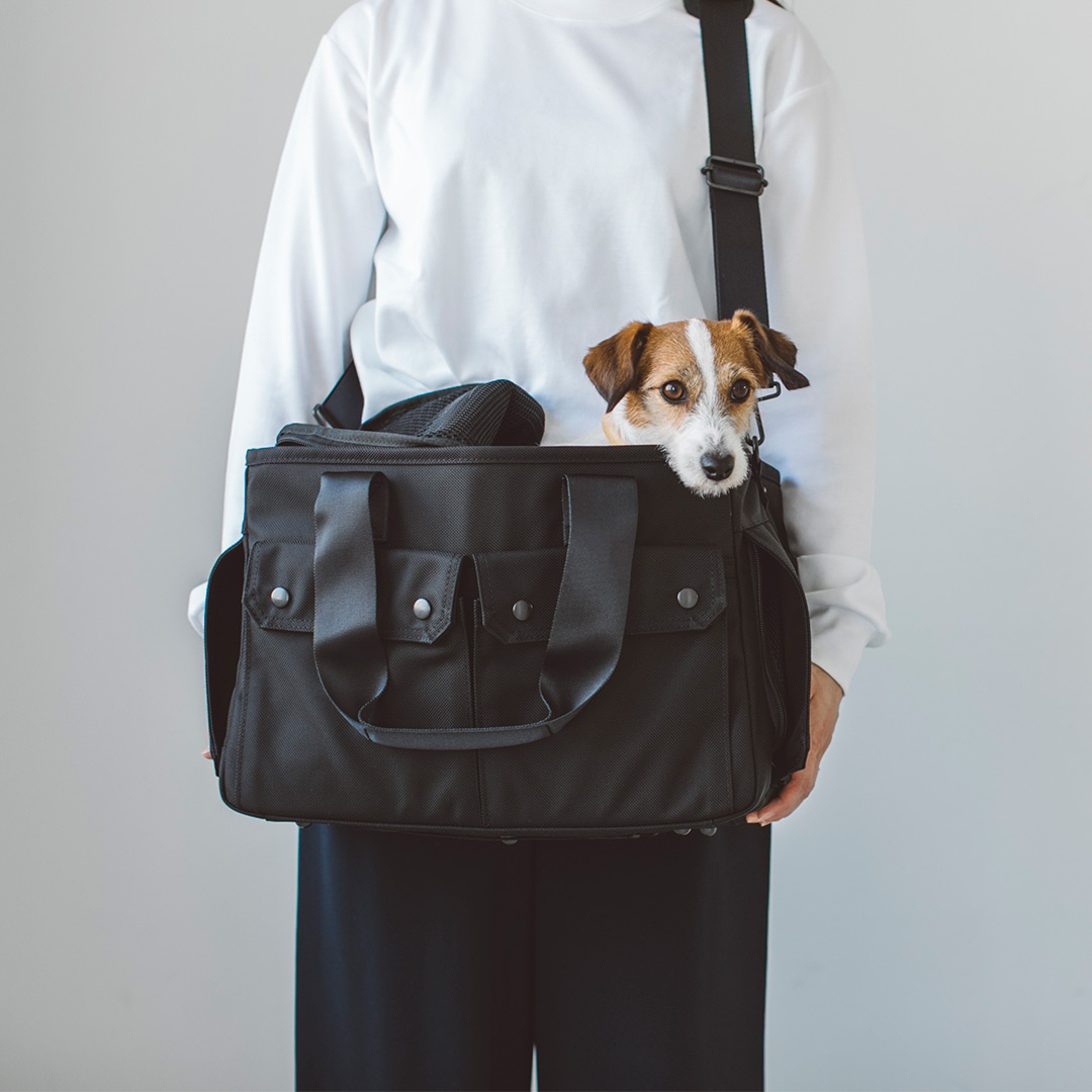 【犬用 キャリーバッグ】ペットキャリー　ペット　キャリー　犬 キャリー　送料無料　小型犬　中型犬　ショルダー 旅行　防災　犬用　シンプル　おしゃれ　斜めがけ　折り畳み お出かけ お散歩 防災 避難 ドライブ 多頭 バルコディ キャリー Mサイズ　犬