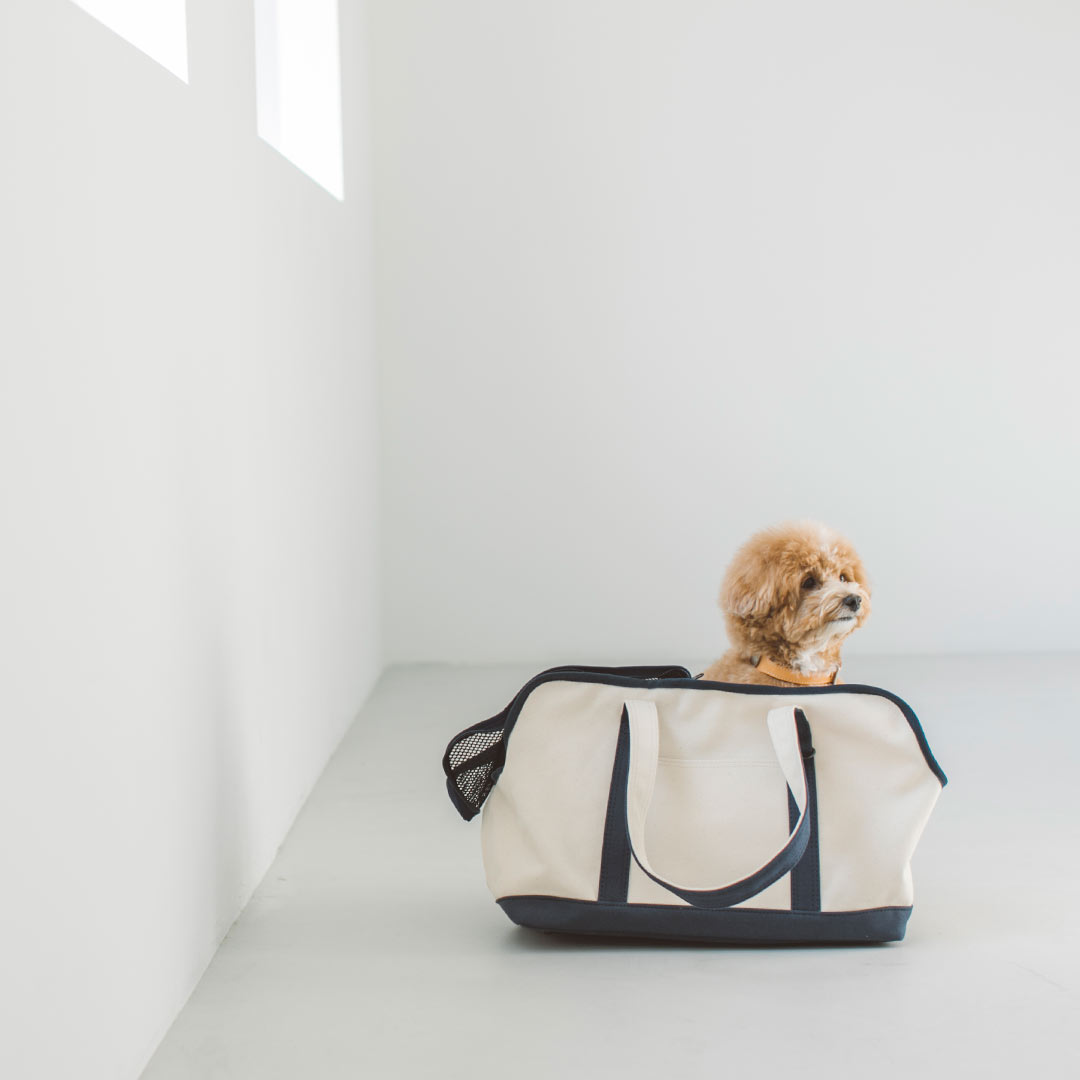 犬 猫 キャリーケース キャリーバッグ キャリー トート 涼しい 通気性