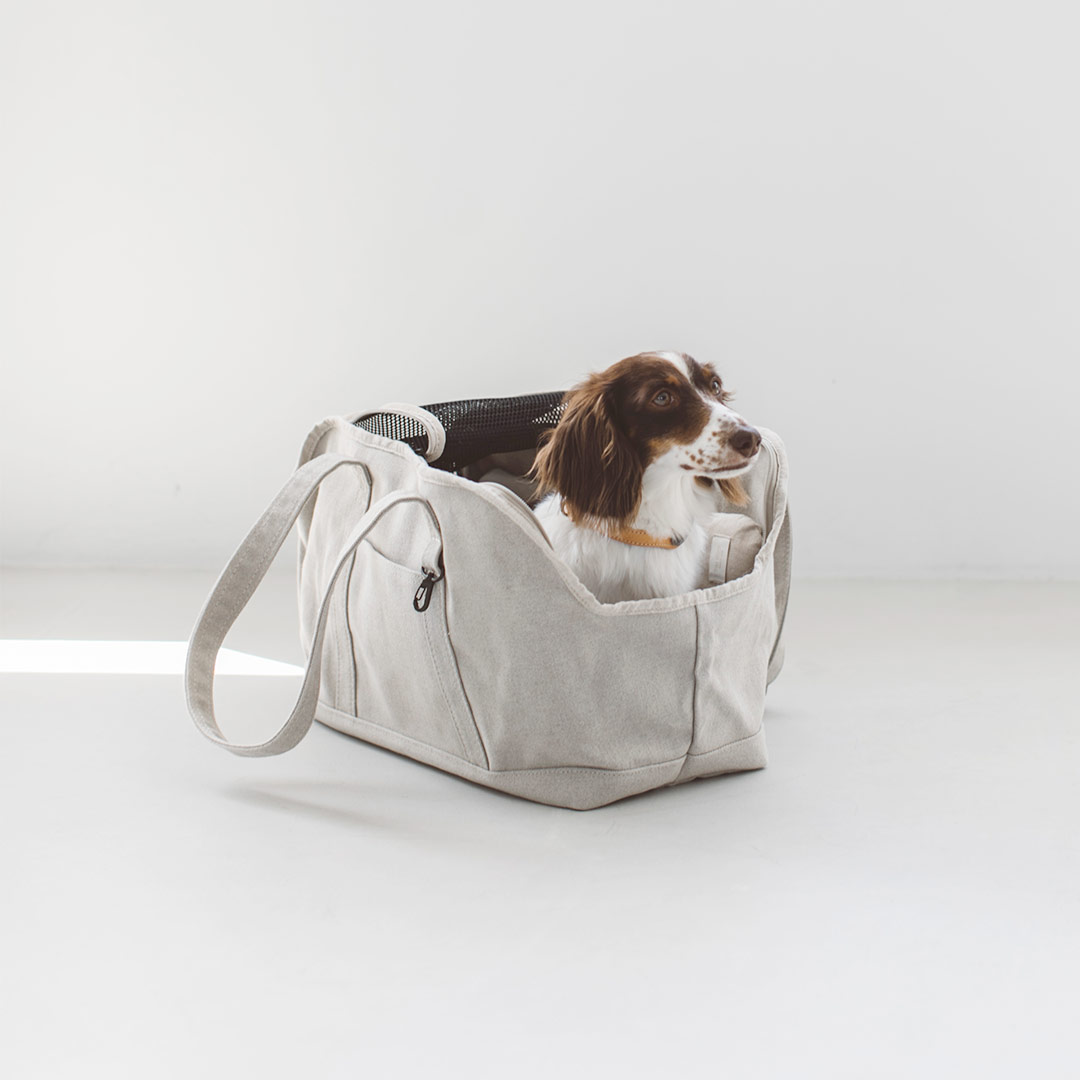 楽天市場】【犬 キャリー】スクエア トート ターポリン S サイズ