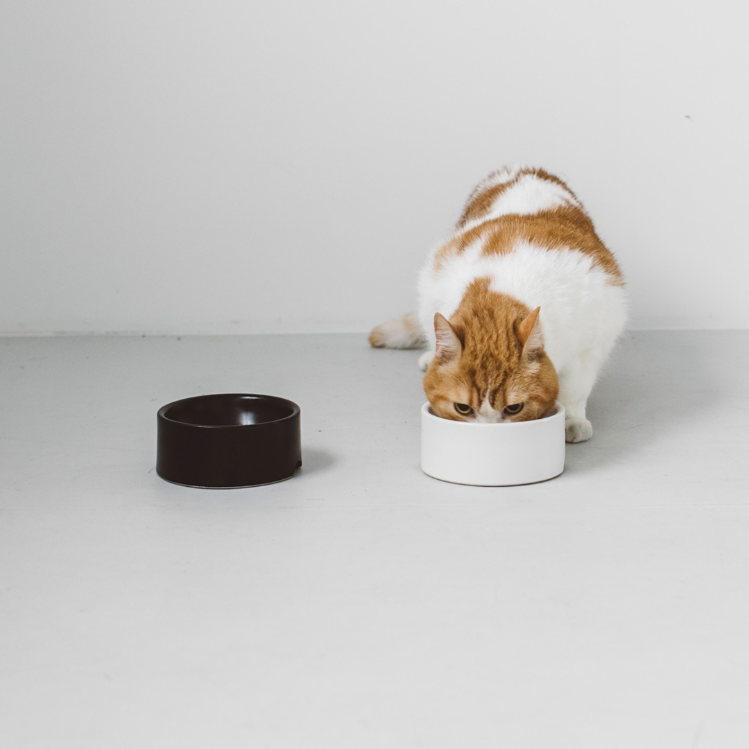 楽天市場】pecolo ZEN PET DINER フードボウルスタンド 猫 フード