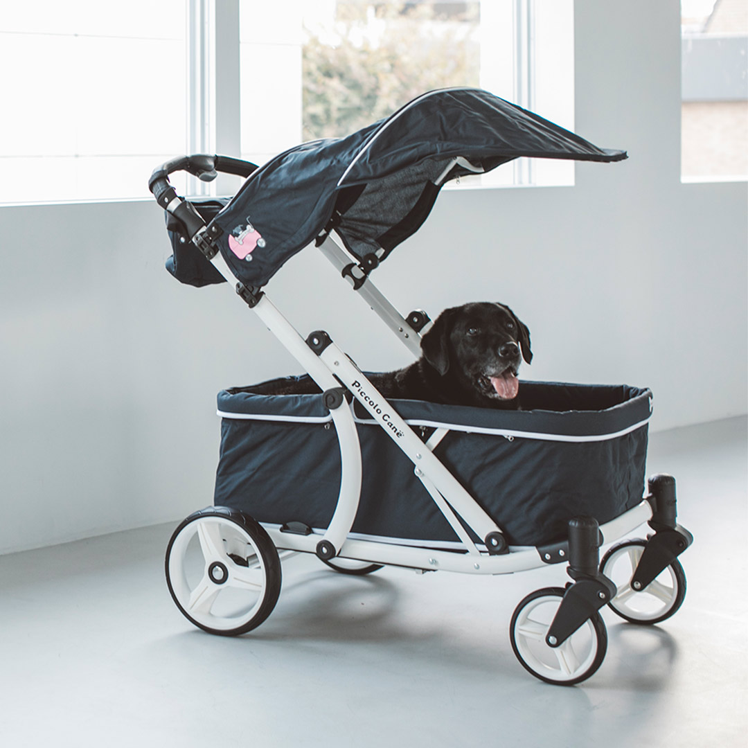 楽天市場】Air Buggy for Dog NEST BIKE (ネスト バイク)AirBuggy 犬