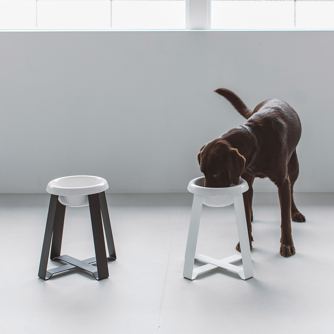 pecolo Food Stand LL(Tall) 陶器 フードボウルスタンド 犬　フードボウル