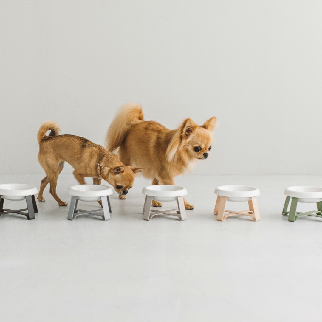 楽天市場】犬 トイレトレイ ワイド pecolo Toilet Tray M Wide