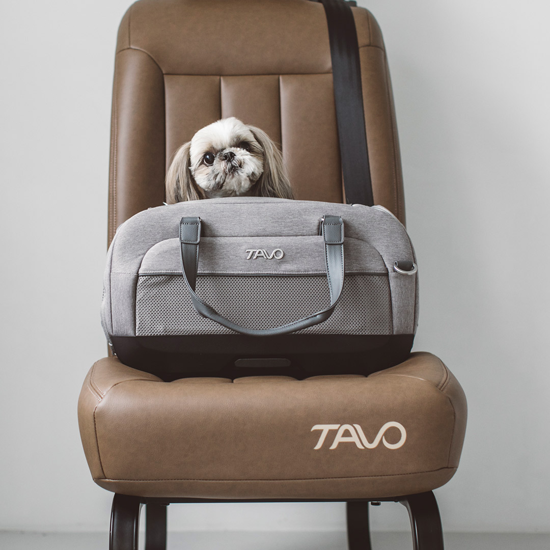 楽天市場】Air Buggy for Dog エアバギーフォードッグ ブレーキモデル