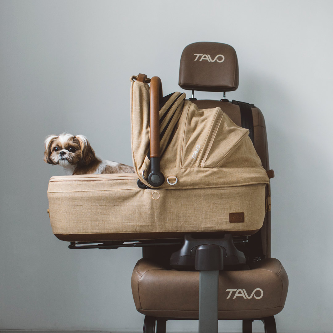 楽天市場】【犬 カート】TAVO Maeve メイブ iso ＋ Roscoe ロスコー