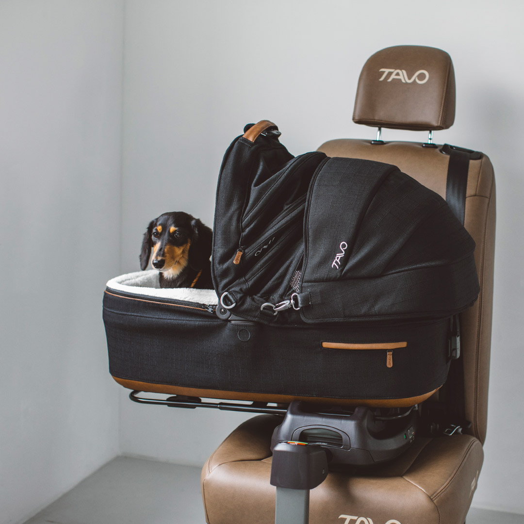 楽天市場】Air Buggy for Dog エアバギーフォードッグ ブレーキモデル