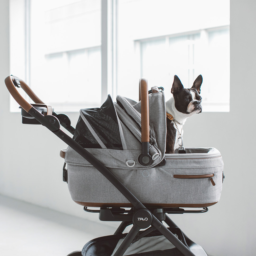 楽天市場】【犬 カート】TAVO Maeve メイブ iso ＋ Roscoe ロスコー