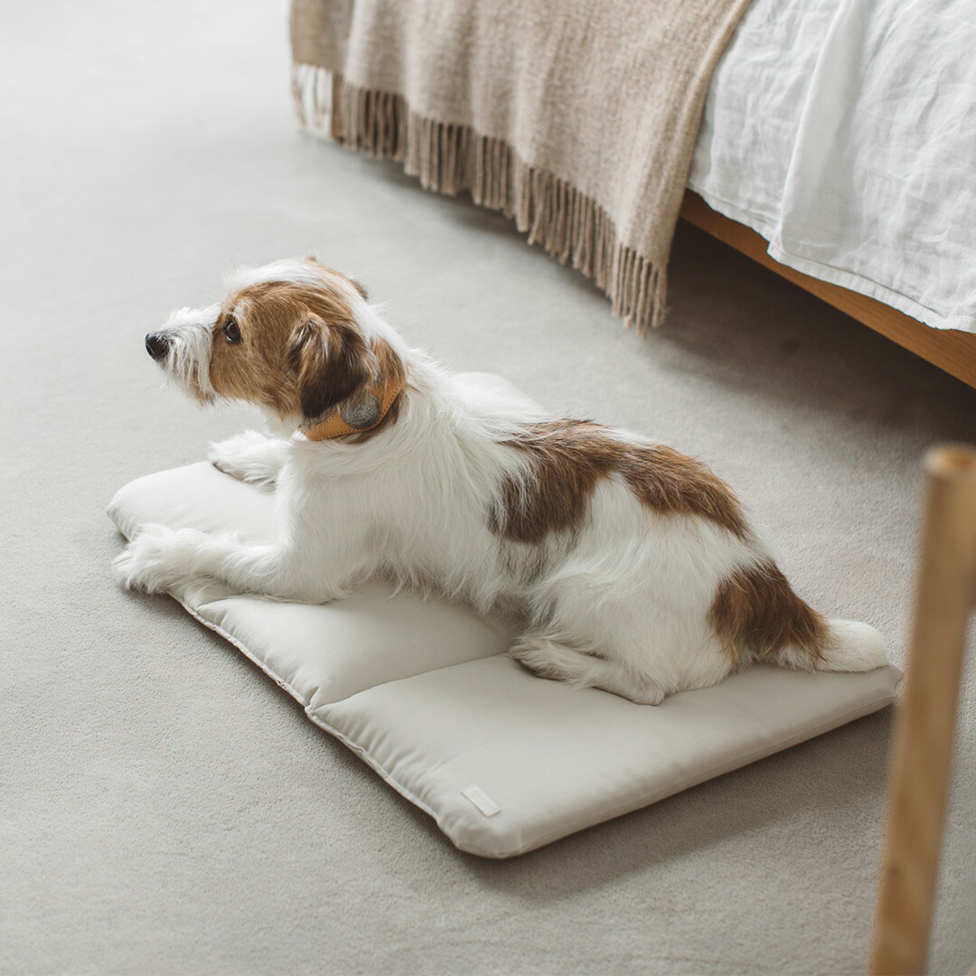 楽天市場】【犬 ベッド】ペットソファ コットン ペット用品 ペット用