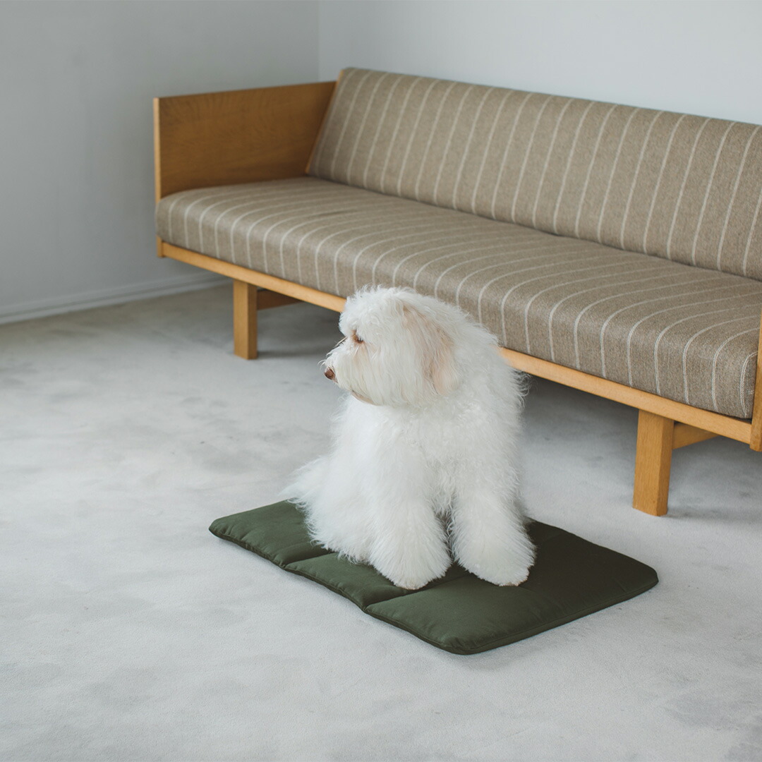 【犬 ベッド】犬用 いぬ ドッグ dog シンプル おしゃれ 日本 ペット用 ペット ベッド マット 洗える 洗濯 ふかふか dogbed かばん キャリー キャリーバッグ 中型犬 ドゥードルコットン ソフト マット LL サイズ 犬