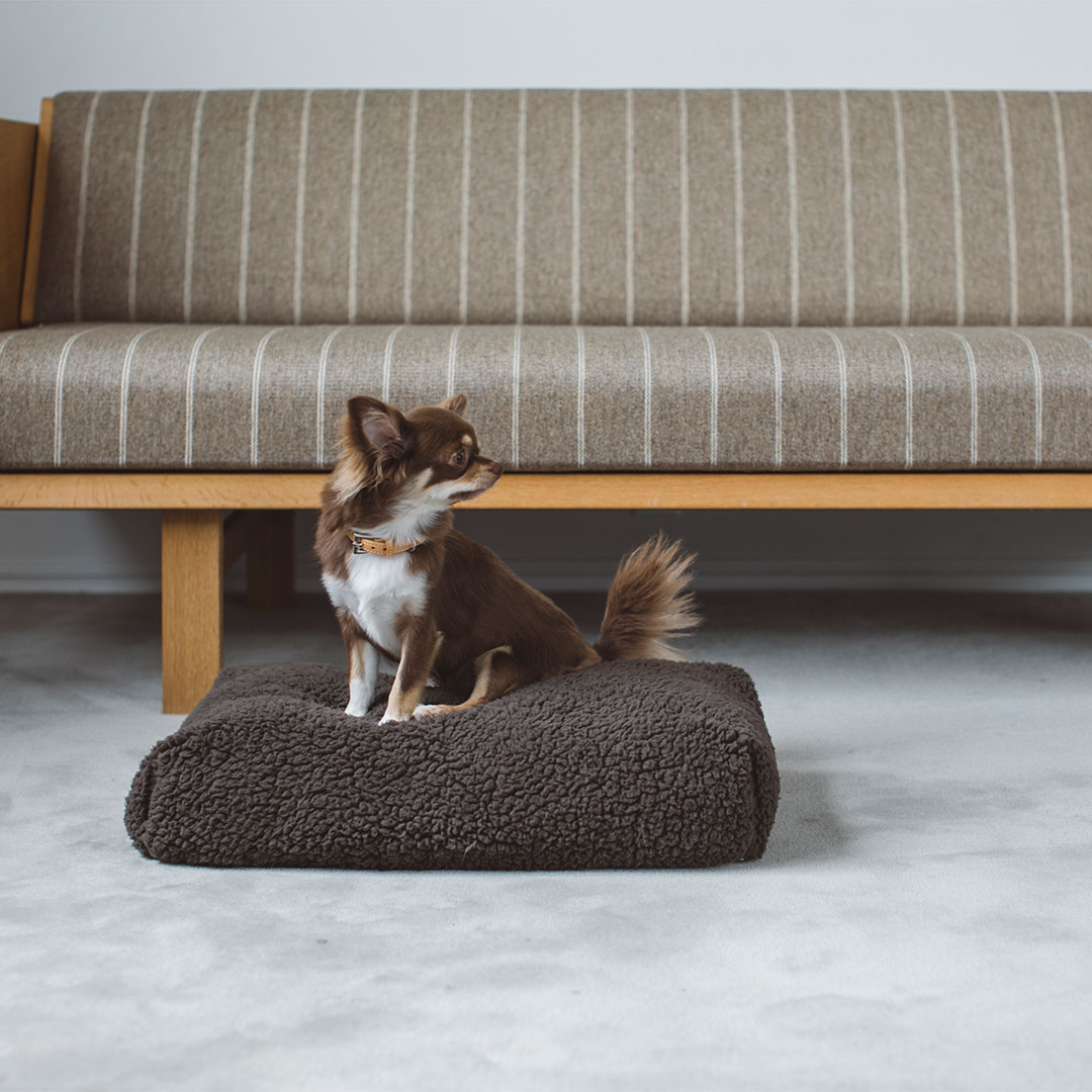 楽天市場】【犬 ベッド】ペットソファ コットン ペット用品 ペット用