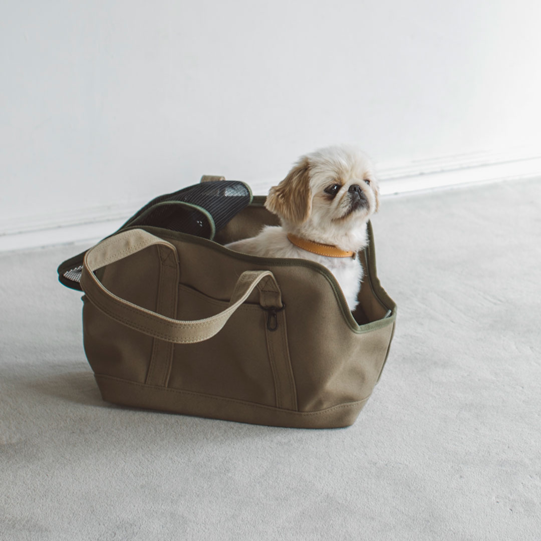 犬キャリーバッグ CITYDOG ペットキャリー 犬 キャリー バッグ 犬キャリーケース