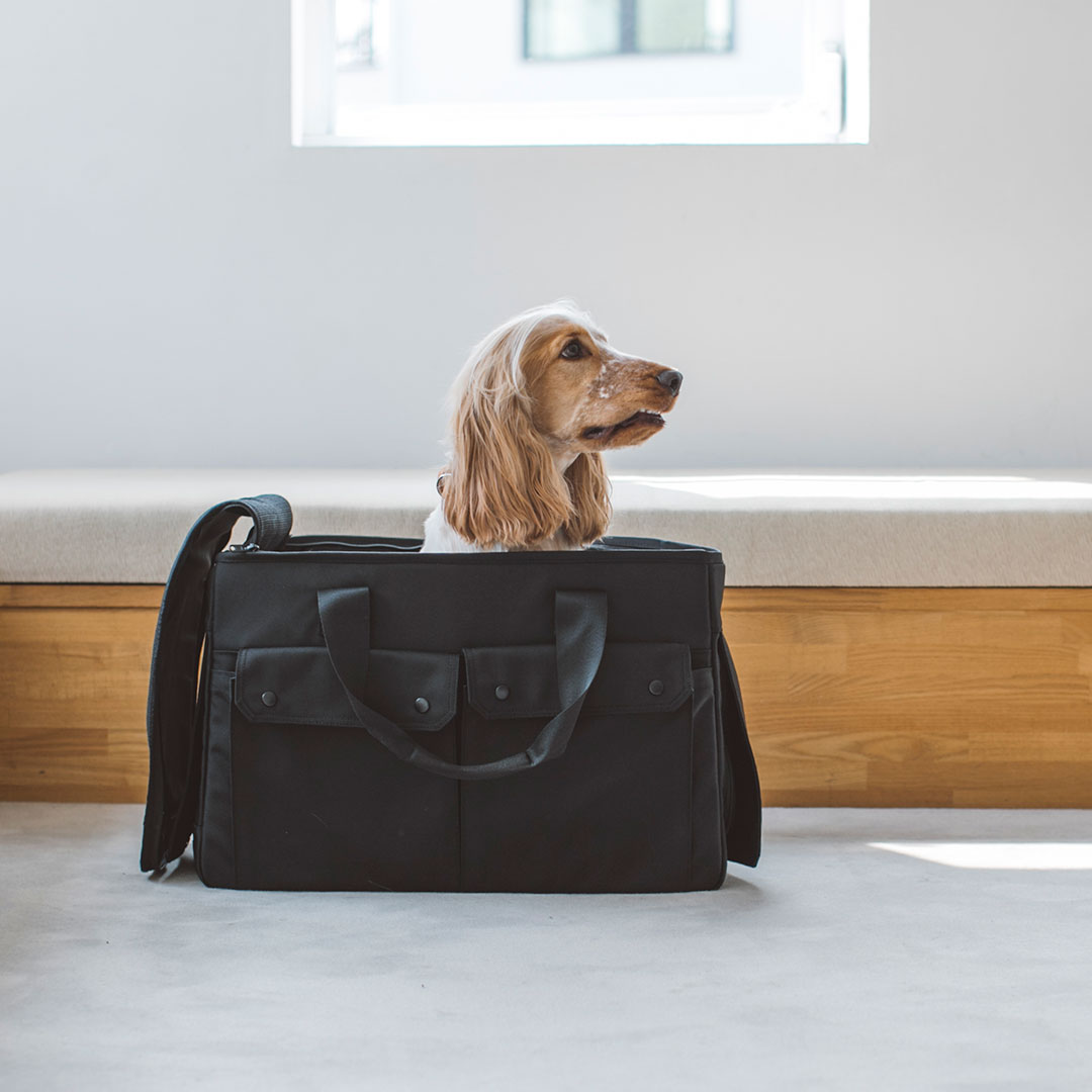 【犬 キャリー】送料無料 ペットキャリーバッグ 通院　おでかけ　旅行　キャリーバッグ ペット用品 犬猫兼用　中型犬　おしゃれ バルコディ キャリー LL サイズ　いぬ