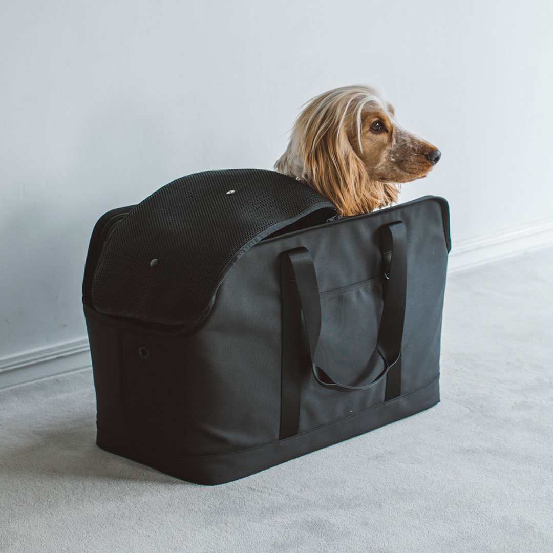 楽天市場】【送料無料】【犬 キャリーバッグ】DUCA ボストン M 犬用