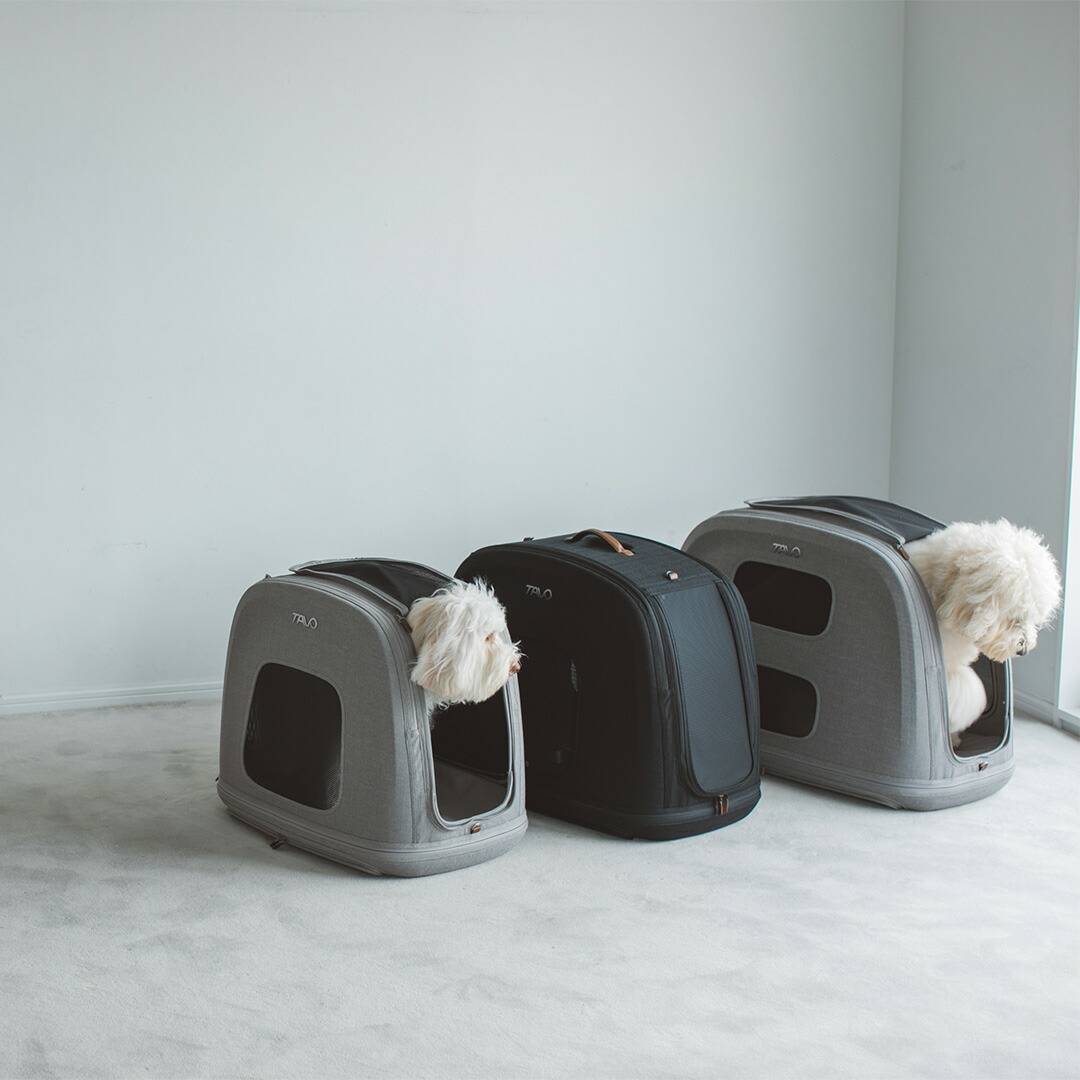 楽天市場】【犬 カート】TAVO Maeve メイブ ＋ ベース 6R・6X ドッグ