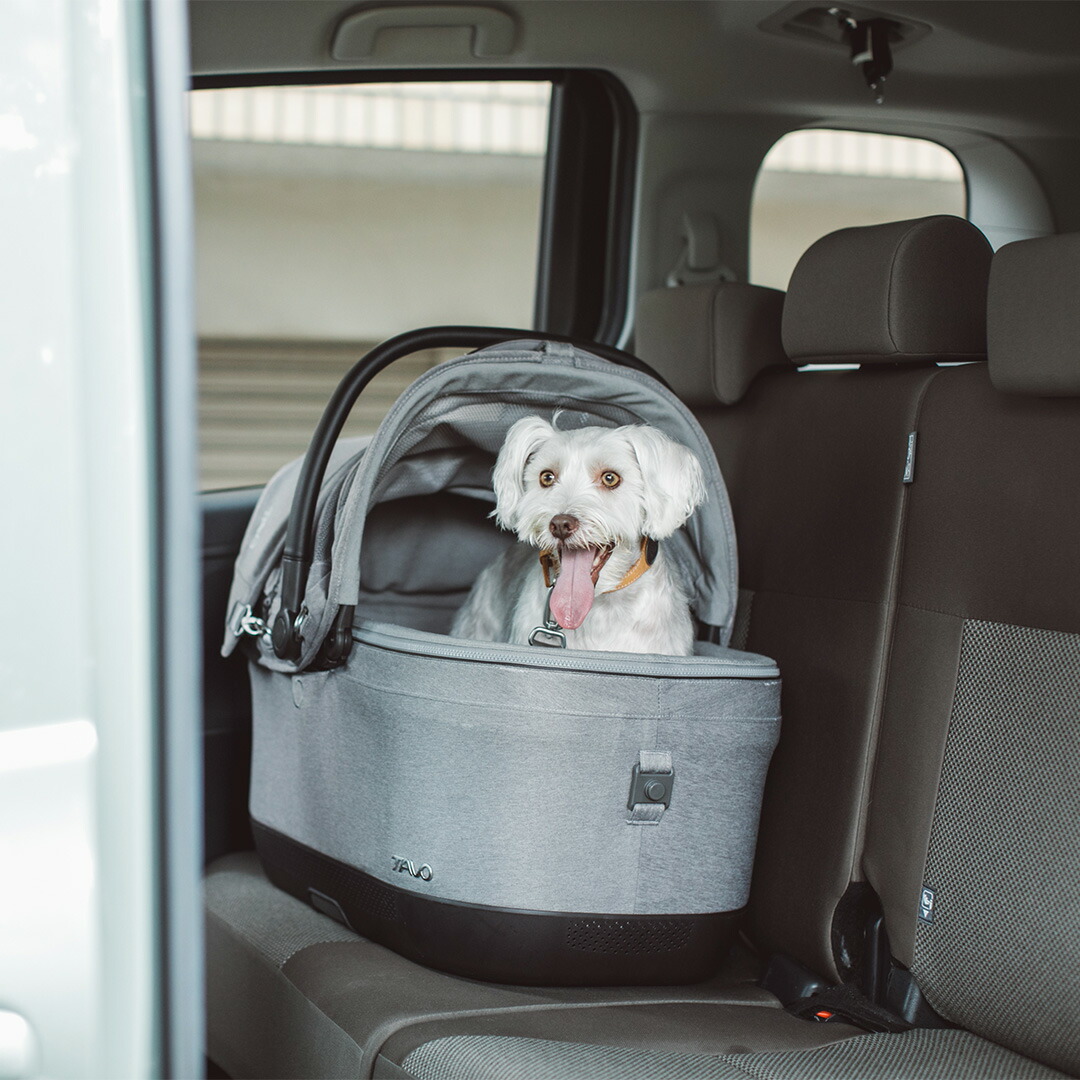 楽天市場】【犬 カート】TAVO Maeve iso Wind メイブ アイソ ウィンド