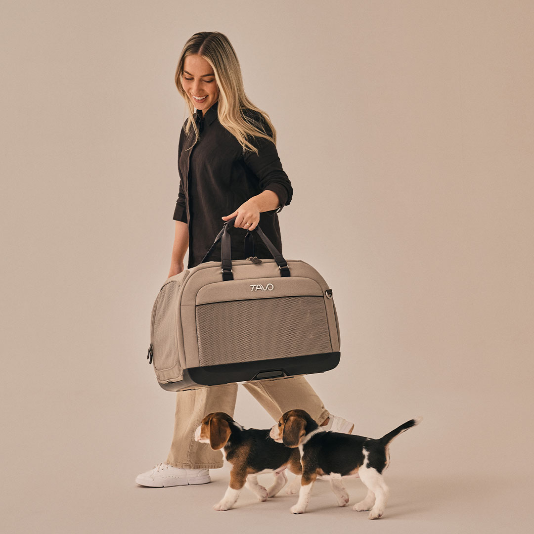 【犬 キャリーバッグ】TAVO TAVO Hendrick ヘンドリック ドッグ 犬 キャリー キャリーバッグ 中型犬 バッグ dog bag 安心 安全 ペット用 車 ペットシート|フリーステッチ