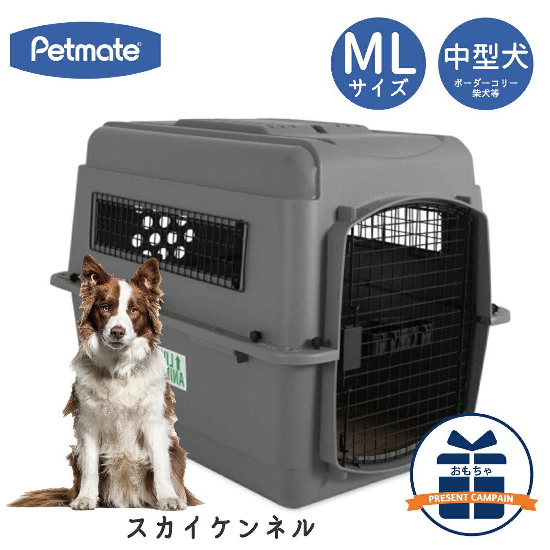 pm00300_01pr.jpg