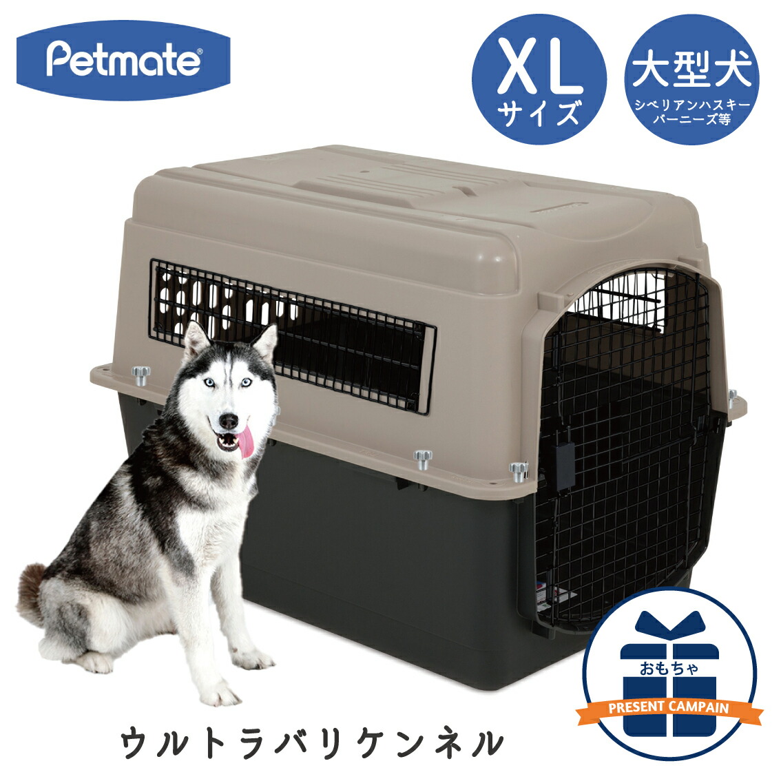楽天市場】ハードキャリー 犬 クレート ハードクレート キャリー