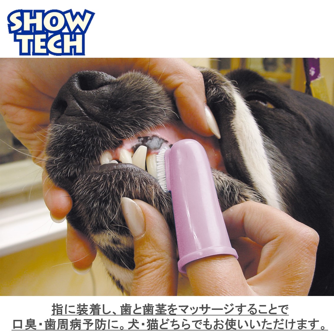 ペット歯ブラシ 指サック歯ブラシ 歯周病予防 犬 Freebird 歯磨き デンタルブラシ 猫 オーラルケア