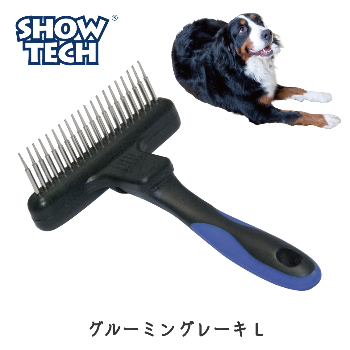 わんこページ 新しいドッグベッドの撮影終わりの一コマ💡こちらも新作の