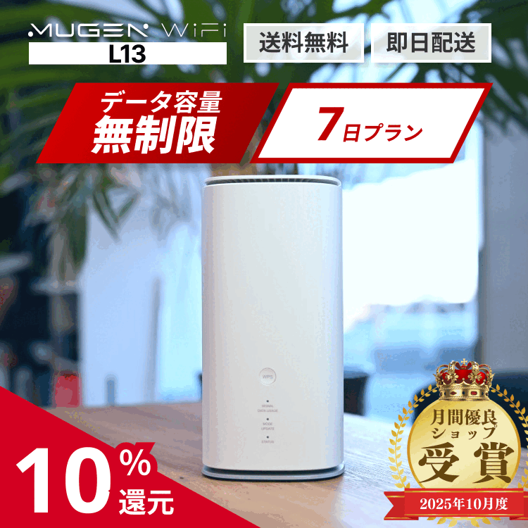 SIMフ ホームルーター au Speed Wi-Fi  L01 楽天M 新品 未使用品 白ロム」利用制限〇 AU Speed Wi-Fi HOME L01s HWS32