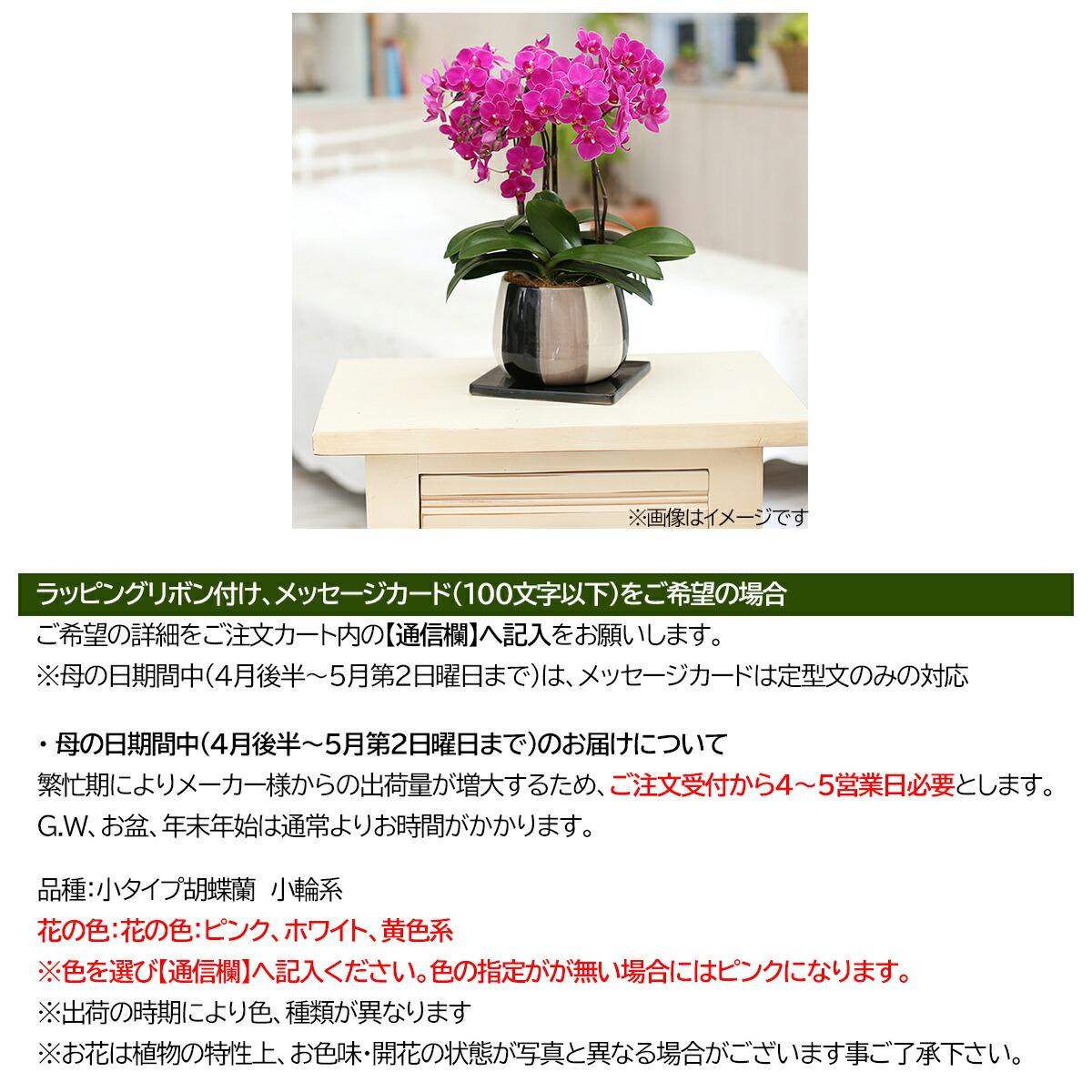 楽天カード分割 楽天市場 胡蝶蘭 モノトリコ鉢5 5号3f 送料無料 内祝い 誕生日 プレゼント お返し 母の日 父の日 景品ゲットクラブ楽天市場店 爆売り Www Lexusoman Com