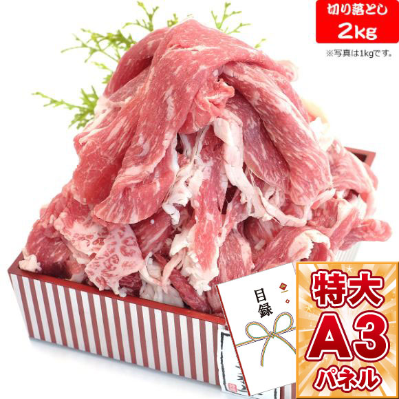 景品 忘年会 景品 忘年会 景品 ゴルフ 目録 その他 ビンゴ パーティー イベント用品 コンペ セット 景品 目録 二次会 特大a3 パネル 産地直送 目録 目録 ビンゴ 景品 九州産 黒毛和牛切落し2kg 目録引換券 A3パネル付き 忘年会 ビンゴ景品 オンライン飲み会