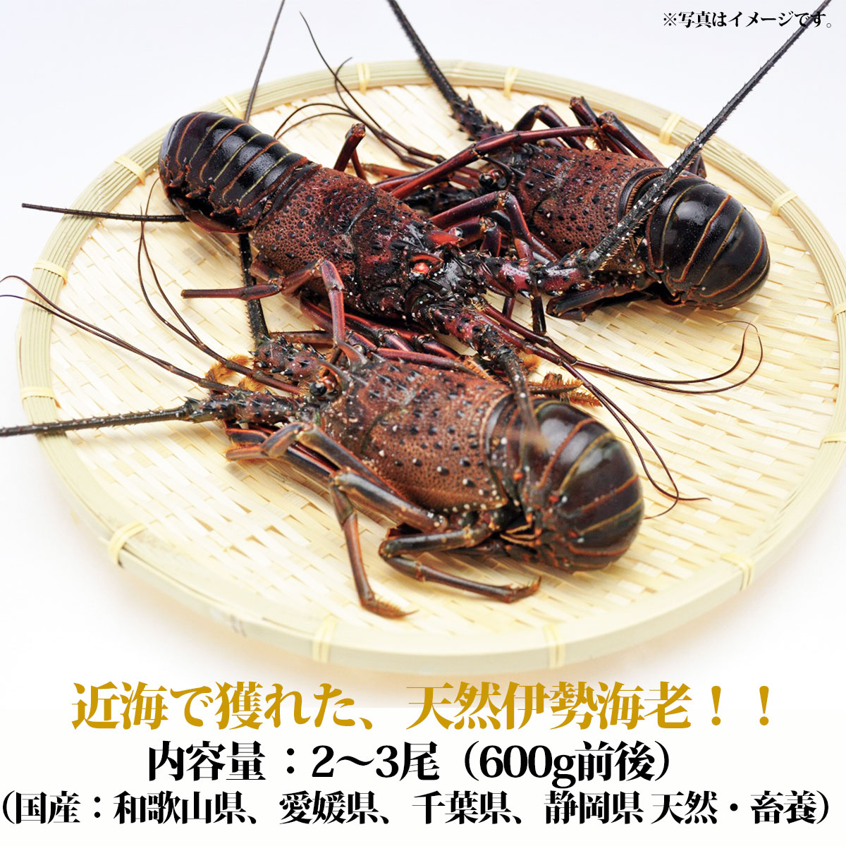 メール便なら送料無料 国産 活伊勢海老 産直グルメ ギフト グルメ 魚介 食品 送料無料 内祝い 誕生日 プレゼント お返し 母の日 父の日 正規品 Blog Belasartes Br