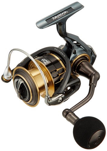Daiwa THEORY 3500PE-H 17セオリー f01n1276lm1.jpg