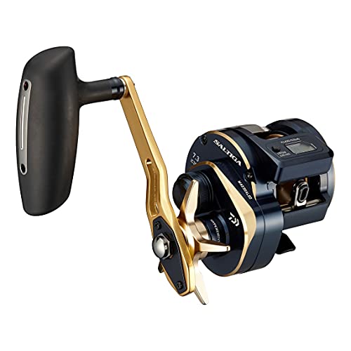 ダイワ(DAIWA) 21 ソルティガ集積回路 300H-SJ