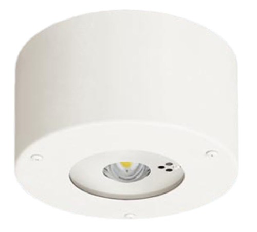 パナソニック(Panasonic) 上昇限度直付型 LED 昼白いこと 非常用点火装置物の具 30分間手合い LED 中上昇限度用 ～8m 防湿型 防雨型 自分自身読み合わせる取り替えっこ付 遠隔操作自分自身読み合わせる役立つこと付 NNFB93106C