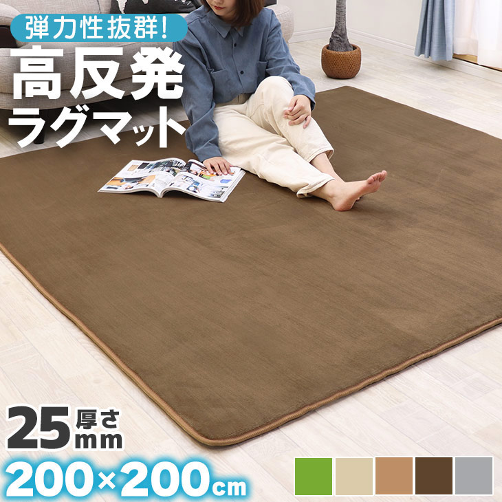 【48%オフクーポン】 ラグ 高反発 極厚25mm 200×200cm カーペット 厚手 滑り止め ラグマット カーペット ホットカーペット対応 リビング 高反発ラグ 春 夏 フリーリー クッション性 防音|Fスタイル