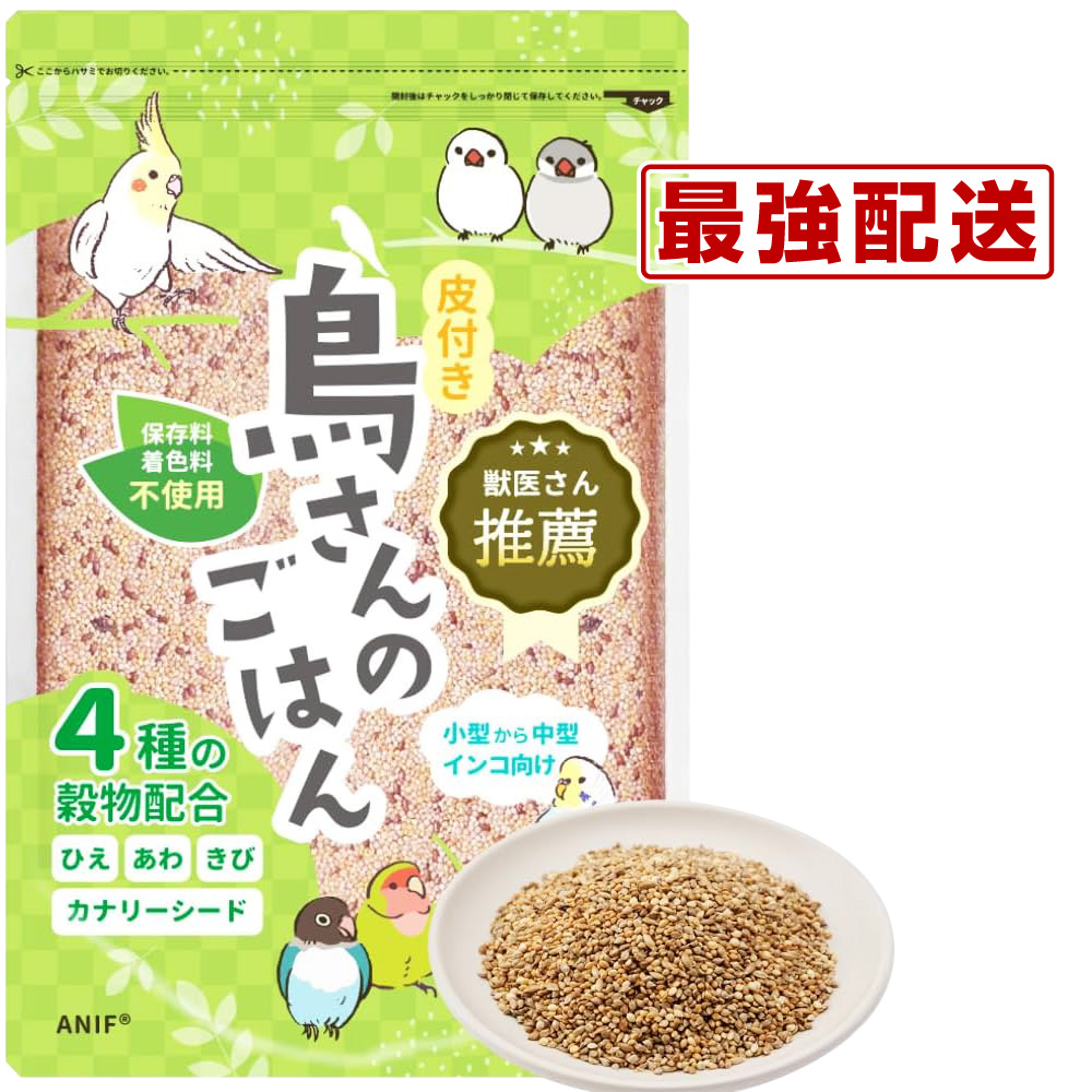 くず米 玄米 飼料 肥料用 約19kg（梱包材含む） くず米 玄米 飼料 肥料用 約19kg（梱包材含む） 令和6年産 飼料