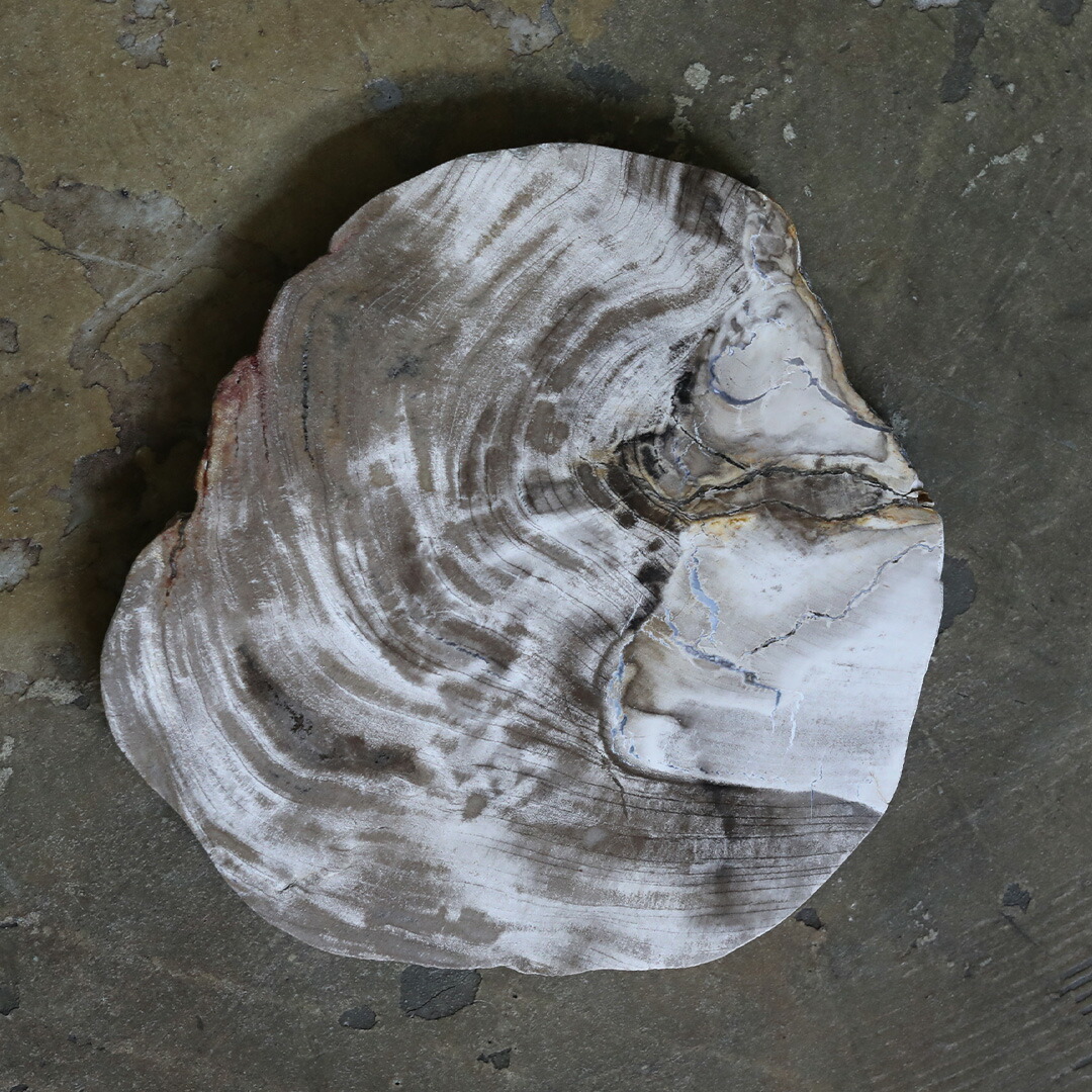Amabro (アマブロ) Wood Plate 20 Natural (お皿・コースター)