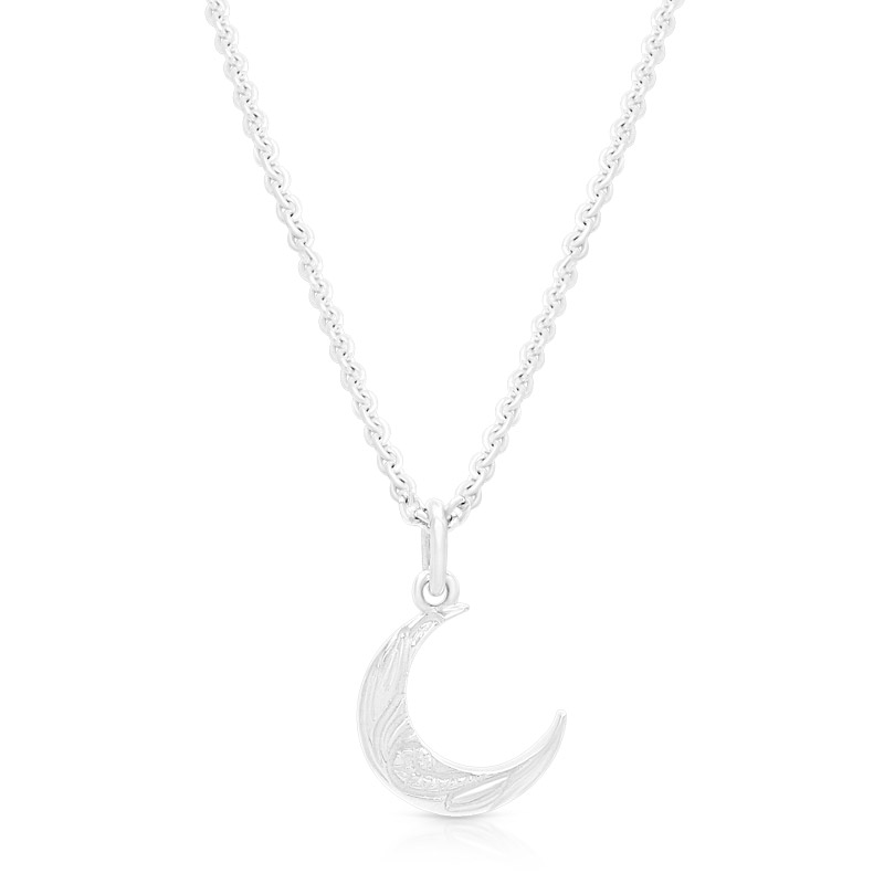 正規品 Free Style 公式サイト 月 ムーンモチーフ シルバー メンズネックレス メンズアクセサリー メンズ ネックレス ペンダント ダイヤモンド 記念日 プレゼント ギフト Fsp938m チェーンセット シンプル フリースタイル 送料無料 在庫あり 即納 Waneptogo Org