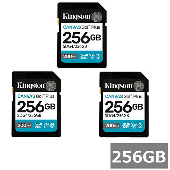 【SS継続期間中 P5倍!】 (3仕掛ける) キングストン SD歌留多 SDXC SDG4 256GB Canvas Go! Plus