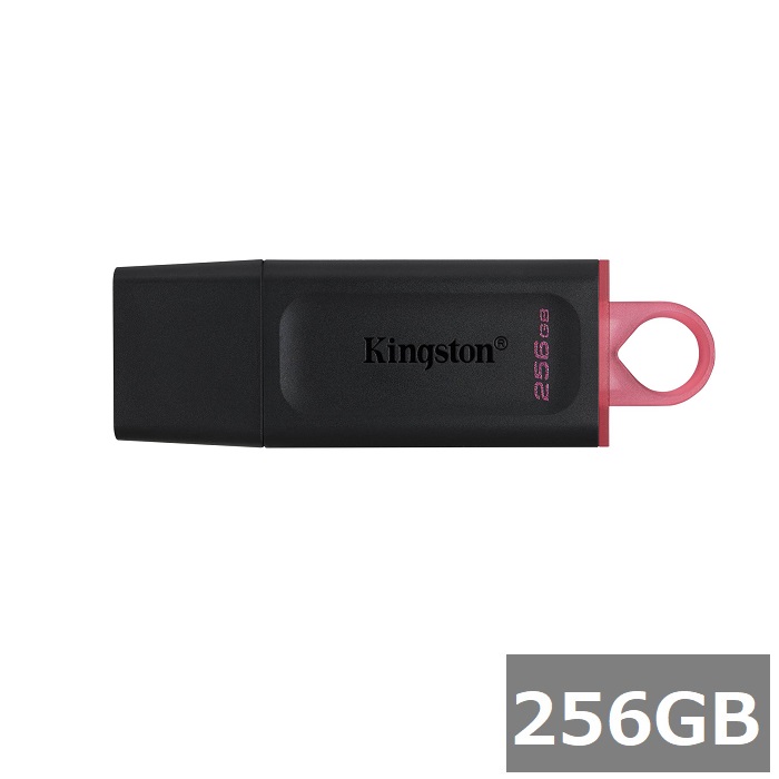 【マラソンセール中 P5倍!】 キングストン USBメモリ DTX/256GB DataTraveler Exodia 256GB