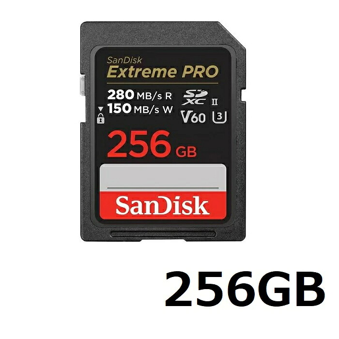 【SS継続期間中 P5倍!】 Sandisk SDXC SD歌留多 Extreme PRO 256GB SDSDXEP-256G-GN4IN