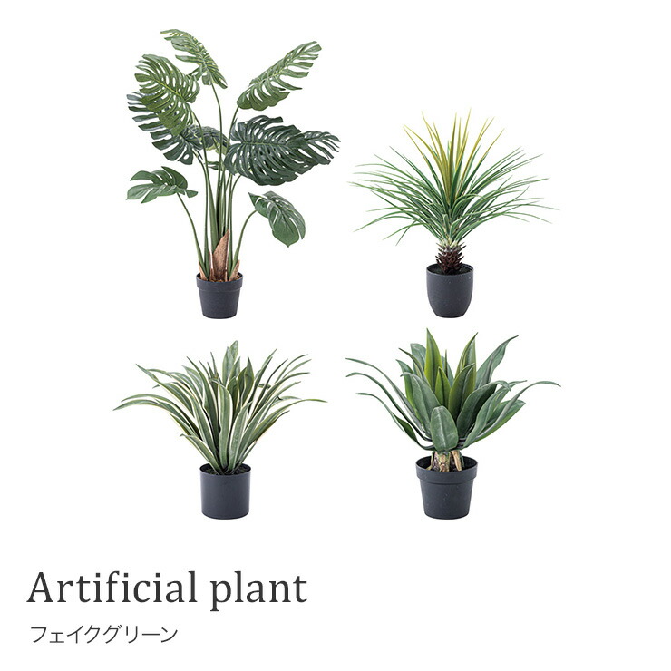 通販 のフェイクグリーン 造花 雑貨 多肉植物 ギフト 花 観葉植物 お祝い 開店祝い 新築祝い 観葉植物 多肉植物 フェイクグリーン モンステラ ミニパイナップル アガベ フェイクグリーン 造花 ギフト お祝い 開店祝い 新築祝い 観葉植物 多肉植物 おしゃれ 雑貨