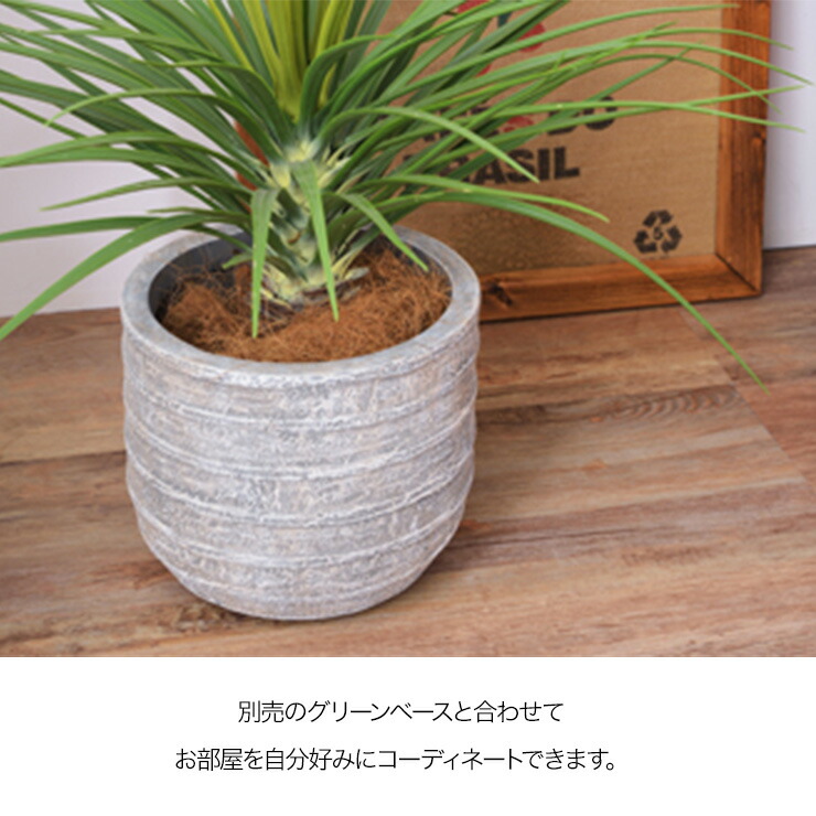 通販 のフェイクグリーン 造花 雑貨 多肉植物 ギフト 花 観葉植物 お祝い 開店祝い 新築祝い 観葉植物 多肉植物 フェイクグリーン モンステラ ミニパイナップル アガベ フェイクグリーン 造花 ギフト お祝い 開店祝い 新築祝い 観葉植物 多肉植物 おしゃれ 雑貨