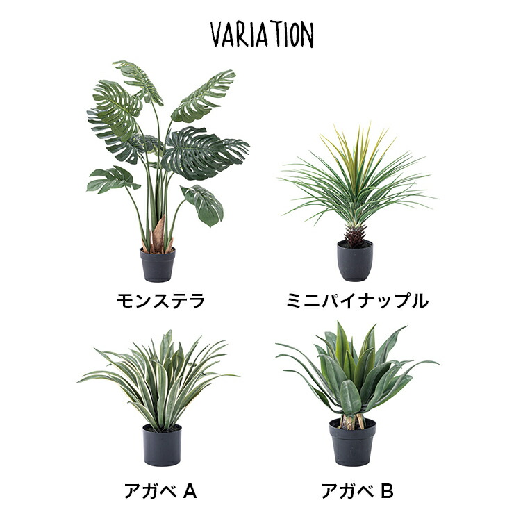 通販 のフェイクグリーン 造花 雑貨 多肉植物 ギフト 花 観葉植物 お祝い 開店祝い 新築祝い 観葉植物 多肉植物 フェイクグリーン モンステラ ミニパイナップル アガベ フェイクグリーン 造花 ギフト お祝い 開店祝い 新築祝い 観葉植物 多肉植物 おしゃれ 雑貨
