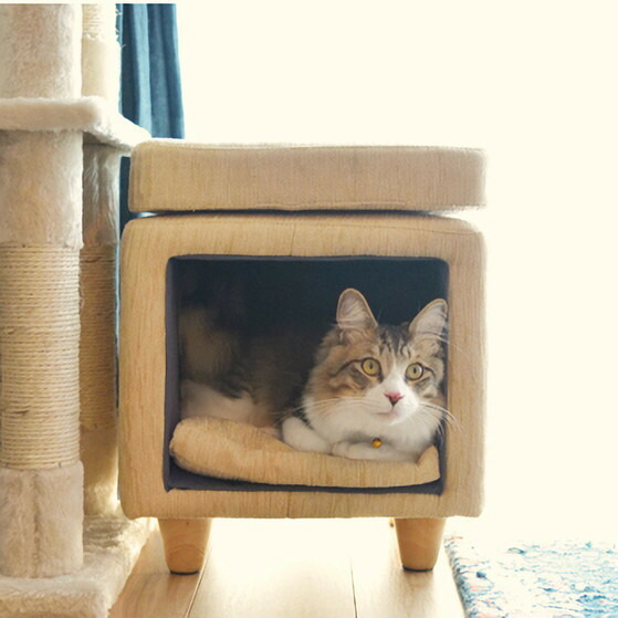 東谷 ペットスツール PET-62 W35×D35×H41 ベージュ/グリーン|French French