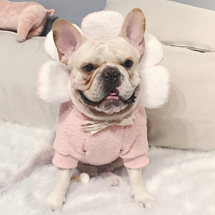 フレンチブルドッグ 犬 服 花 パーカー 秋 冬 人形 ドッグウェア 可愛い ピンク コスプレ もこもこ 暖かい 中型犬 小型犬 秋冬 Km122ts セール特価品